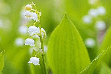 《极速。真拟》试玩版下月推出 游戏预告片欣赏